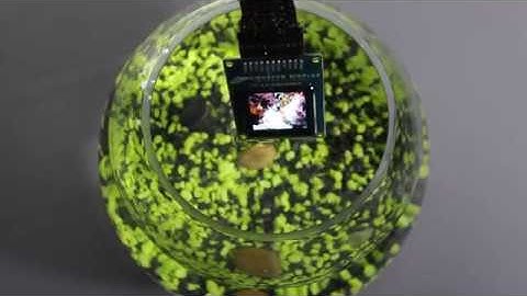 What is Conformal Coating? (and why you