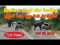 Stupids gave food destroy car after #elephant-attack