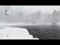 Blizzard Strikes The Pond, Central Park, New York City - 4K - #newyorkcity #nyc #centralpark #snow