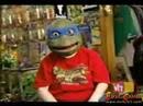 The Worlds Biggest Teenage Mutant Ninja Turtle Fan