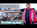 Птичий рынок. Кореновск. Часть 3. [14.03.2021]