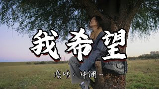 洋澜一 - 我希望『我希望对的人早点遇见，我希望牵了手就是永远。』『动态歌词MV』