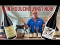Introduction To Pinot Noir || Decants With D