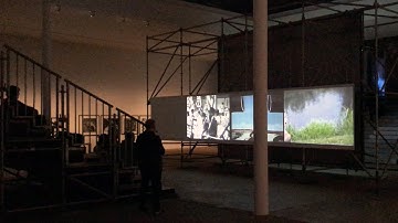 David Wojnarowicz – In the Shadow of Forward Motion (ITSOFOMO) 1989