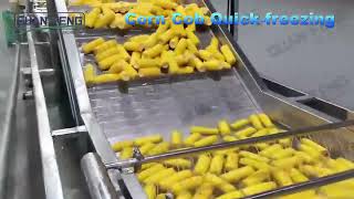 sweet corn cob shock freezer-food IQF equipments
