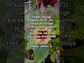 Psalam Ps 37,23 za čvrste korake napiši Amen Gospodine #bozanskosve #shorts #citati #nada