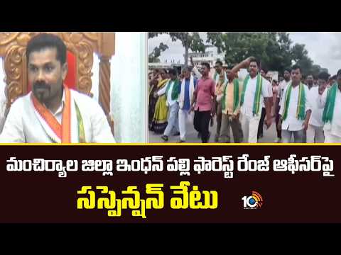 మంచిర్యాల జిల్లా ఇంధన్ పల్లి ఫారెస్ట్ రేంజ్ ఆఫీసర్‎పై సస్పెన్షన్ వేటు | MLA Vedma Bojju | Mancherial - 10TVNEWSTELUGU