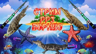 Стрим Русская Рыбалка 3. ТУРНИР на КРОКОДИЛА ну а дальше посмотрим. #рр3 #русскаярыбалка4