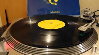 The Stone Roses - Fools Gold (Grooverider&#39;s Mix) (Vinyl)