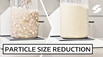 Particle Size Reduction – Wet Milling Process