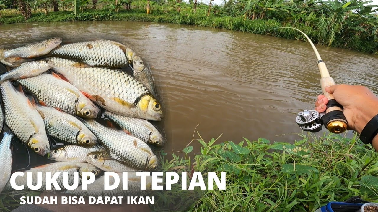 UMPAN INI TETAP AMPUH DI AIR KERUH ‼️ MANCING IKAN WADER BREK 