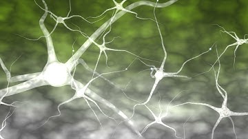 brain and neurons Free HD Stock Footage 6