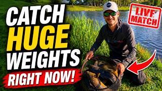 LIVE MATCH - CATCH HUGE WEIGHTS with Jordan Holloway