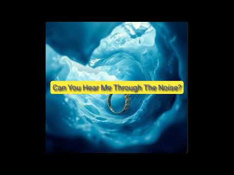 Can You Hear Me Through The Noise?