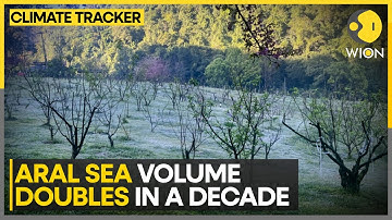 Once Dry, Aral Sea Sees New Life; Water Conservation Project Boosts Aral Sea Levels | WION