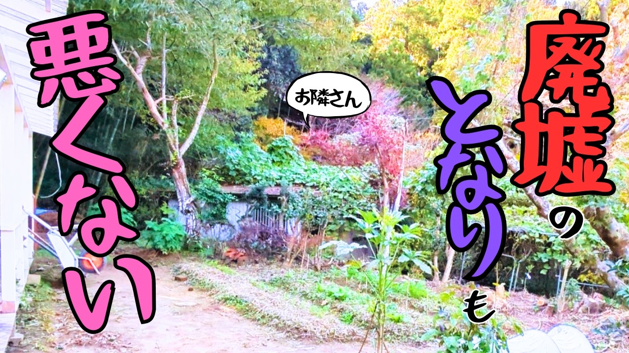 【廃墟の隣に棲む女】 ～廃墟の隣で頑張る野菜たち…10月から現在まで一気にやります！～ #16