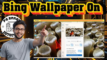 Hoe u de Bing-achtergrond in Windows inschakelt - Stapsgewijze handleiding