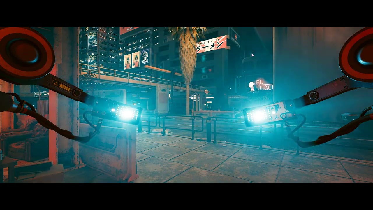 Lizzie's Braindances - Purchased BDs