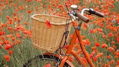 امن الرسول بما انزل اليه من ربه | سورة البقرة | القارئ عبدالعزيز الغويري