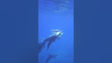 قرأن كريم |تلاوة هادئه مريحه للنفس #تلاوات #قرآن #تلاوة_خاشعة #تلاوة_هادئة #قران_كريم #حالات