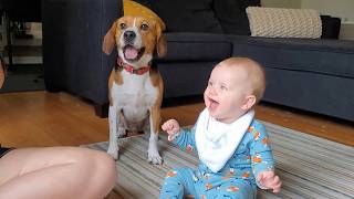 Soft & Sweet 😊 Baby With Friendly Dogs | Beautiful Moments to Relax With 🐾❤️ screenshot 2