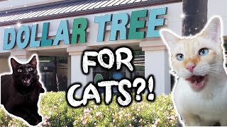 How is Dollar Tree's CAT & kitten section? Checking it out + toy review!