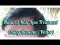 Natural Hair Loss Treatment using Banana (Water)