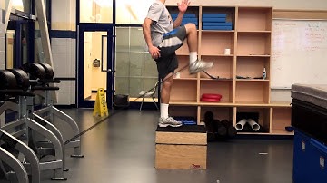 Step-Up w/ Hip Flexion