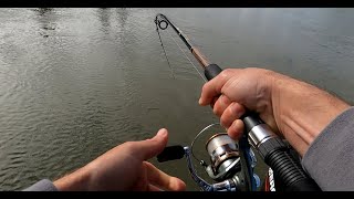 Striper Fishing sacramento river with live minnows