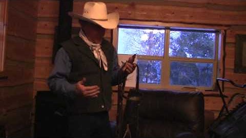 Bridle Horse Development: Introduction to Hackamore and Spade Bridle Function