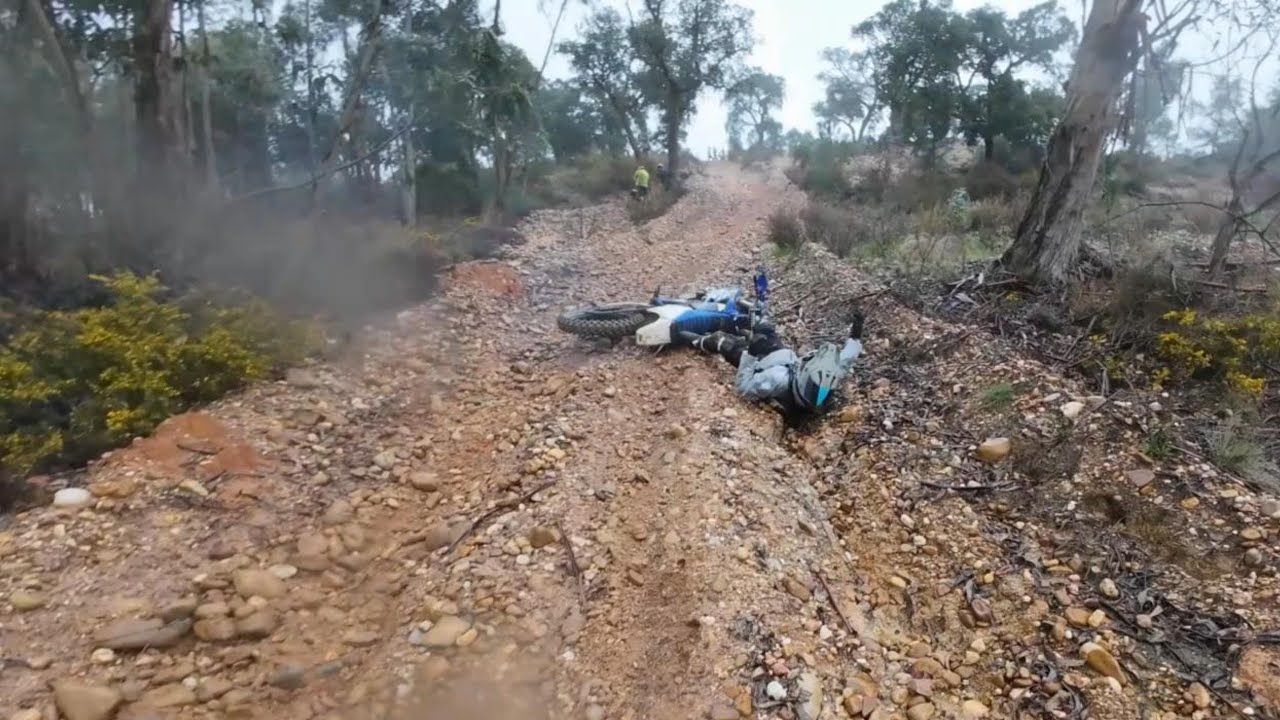 Passeio raptors 11/01/2026