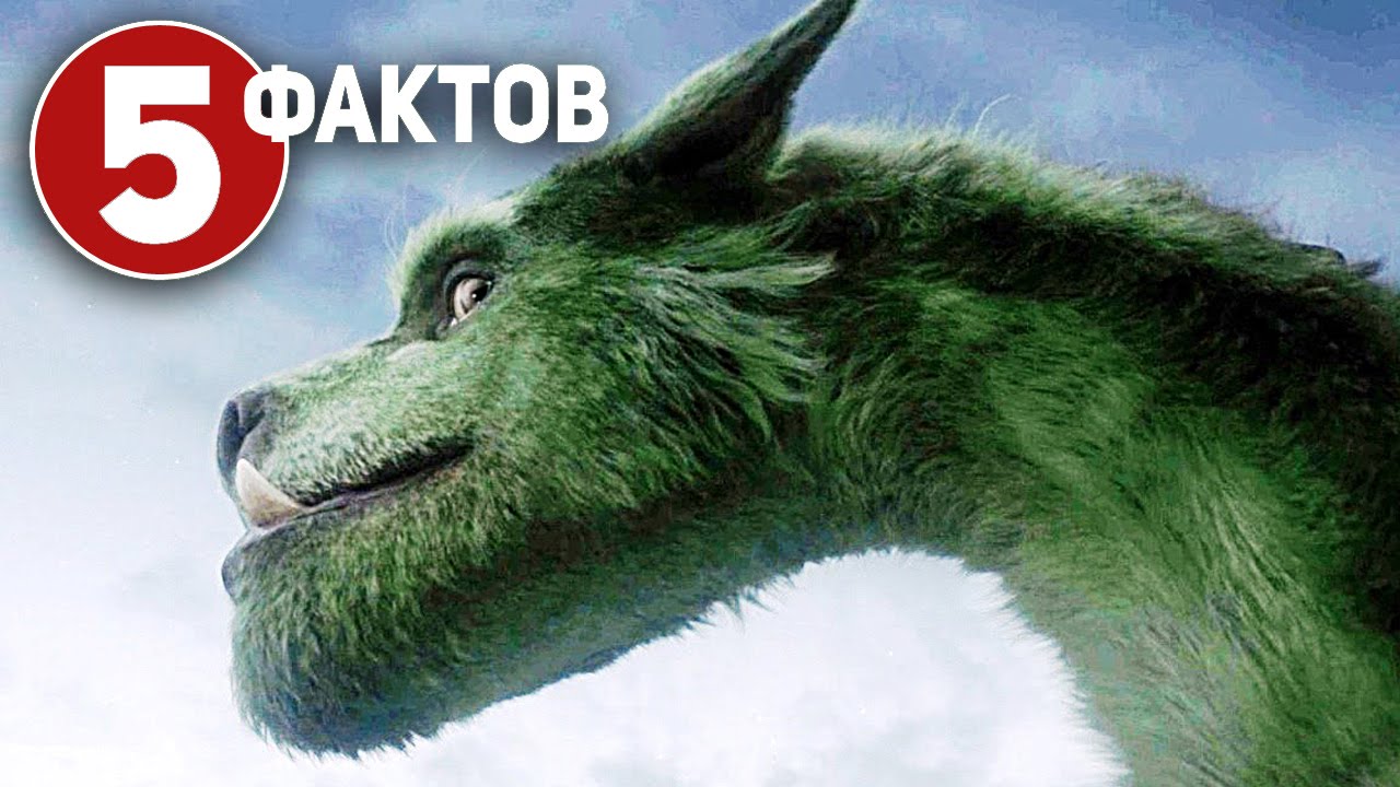 Пит и его дракон 5 фактов о фильме (2016) Как прожить 6