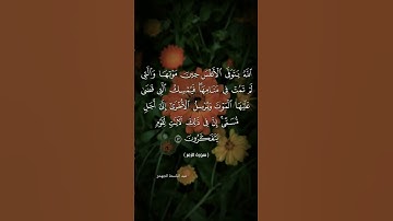 #quran #اكسبلور #قرآن #راحة_نفسية #تلاوة_خاشعة #لايك #duet #حالات_واتس