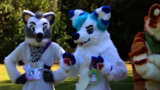 SoCal Furries Year in review 2017