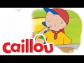 Caillou - Shoo, Shoo Bird, Fly Away!  (S04E15) | Cartoon for Kids
