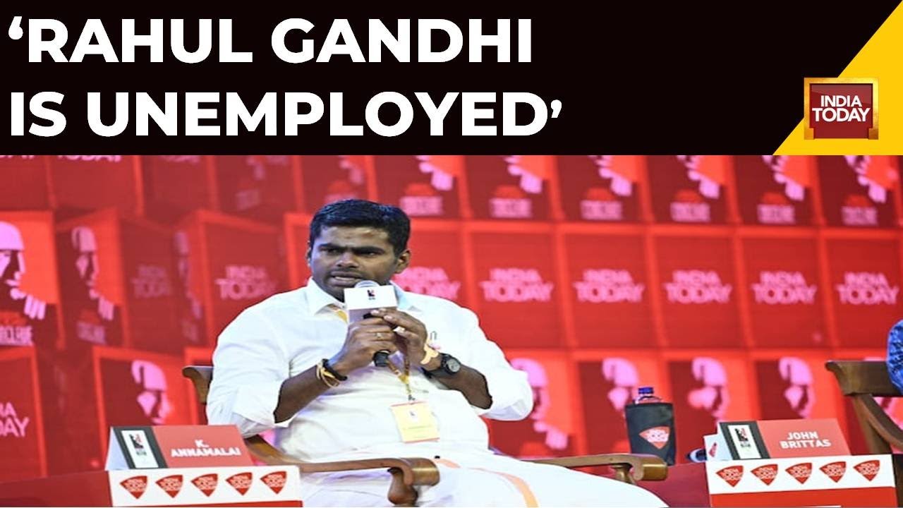 BJP's Annamalai: Just Because Rahul Gandhi Is Unemployed, Doesn't Mean India's Youth Is Jobless