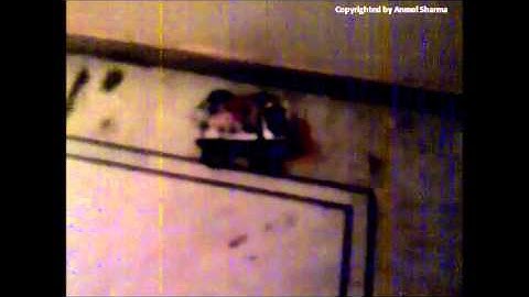 Raspberry Pi Project - ROBOCar controlled by a Wii Mote Accelerometer