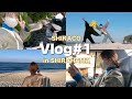 【和歌山/白浜】はじめての編集だけどそもそもVlogってなに？【本人編集Vlog】