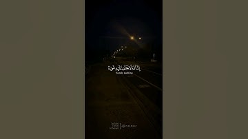 #قران_كريم #ياسر_الدوسري #الوطن_العربي  #سورة_ال_عمران #quran_kareem #islam #muslim #مسلم_muslim