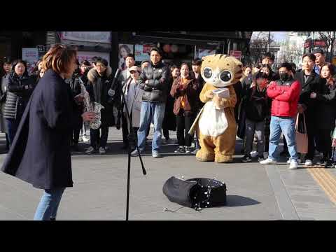 JHKTV] 신촌 명물고양이 완모어타임  <strong>shin</strong> chon special cat  one <strong>more</strong> time