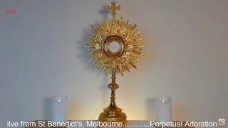 Live Stream| Perpetual Adoration live from St Benedict's, Melbourne|Johny C Balaramapuram