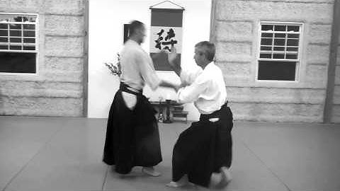 Ikkyo - Aikido
