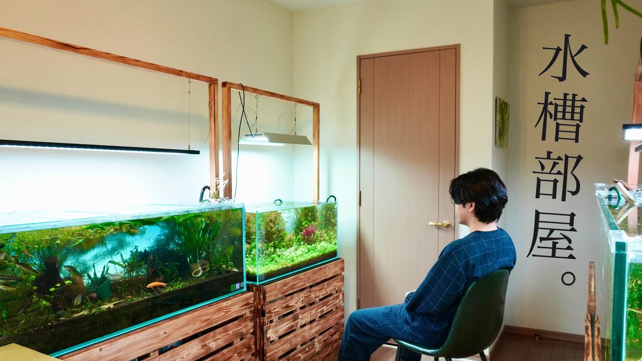 水槽 timtamtom Aquarium tank room | 120cm x 3 & 90cm x 2 - YouTube