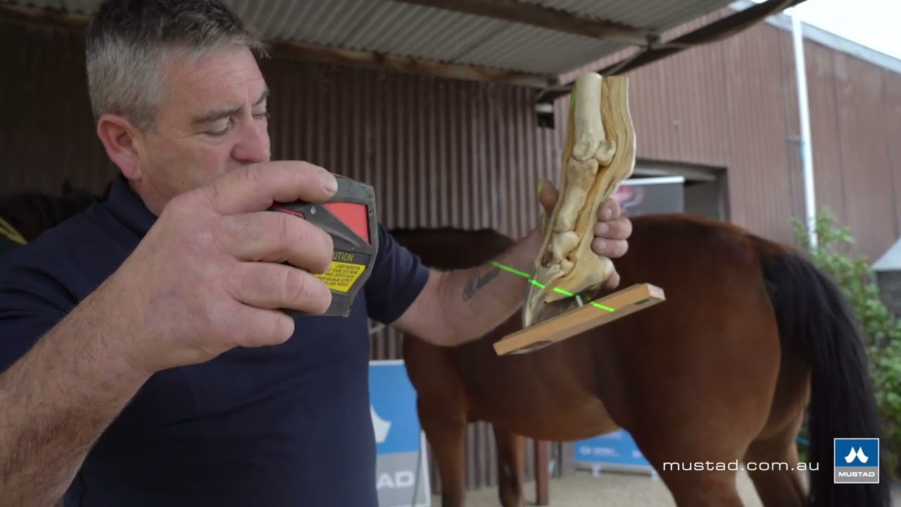 Master Clinic with Dean Lewis AWCF - Part 2 - Hoof Pastern Alignment
