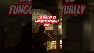 The last of us fungus is actually real. #ps5 #tlou #tlou2 #gaming #zombie #horror