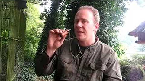 European crow calling instructions