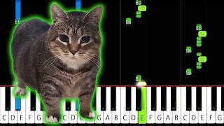 W&W - OIIA OIIA (Spinning Cat) - Piano Tutorial