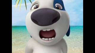 Kontör At Sevgilimmmm