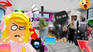видео: !!!….Я завела !вредного и странного !котёнка !!!под именем Венда !. Карта !!!(!Brook heaven!) …!!! картинка: !!!….Я завела !вредного и странного !котёнка !!!под именем Венда !. Карта !!!(!Brook heaven!) …!!!
