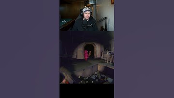 Seriously, stop touching the duck #oopsallschnitzel #streamersupport #repo #gamingmemes #newstreamer